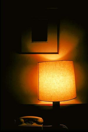 オフィスに最適なグリーンリース