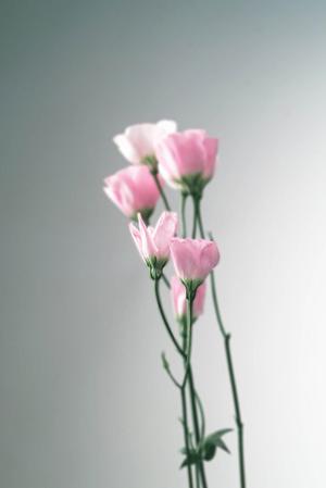 快適な暮らしを実現する「プラスト」の内窓サッシの魅力とその効果を徹底解説！