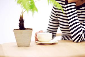 通販でおしゃれなロータイプベッドを