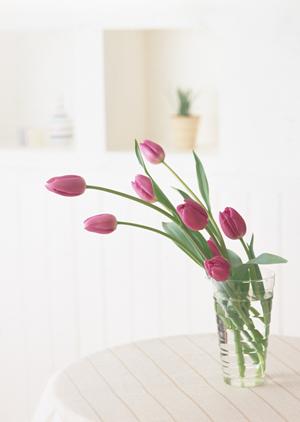 東京で魅力的な家具リメイクを楽しむ！自宅をおしゃれに彩るDIYアイデア集