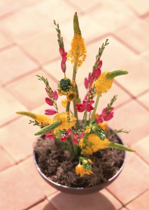 北海道札幌のタカラスタンダードショールーム：最新のキッチン・バス・洗面化粧台を体験できる総合リフォーム施設