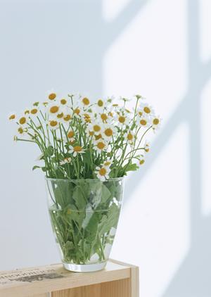 立川ショールーム｜タカラスタンダードのキッチン・バス・洗面台を実際に見て選べるリフォームの拠点